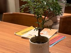 -CURRY YA 熟成咖哩專門店(深圳湾万象城店)