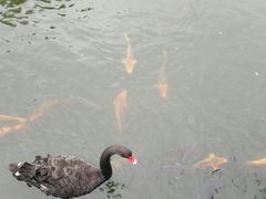 -海南热带野生动植物园