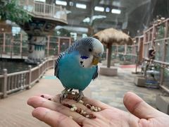 -南宫五洲植物乐园