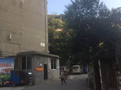 -夹江老头叶儿粑(石雁儿小区店)