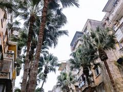 -修记牛杂店(同华东一路店)