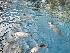 -华夏文旅海洋公园