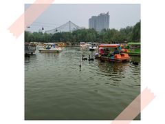 -郑州市动物园