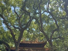 -普陀山风景名胜区-法雨禅寺