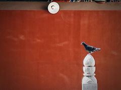 -宝通禅寺