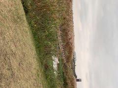 -春花秋色城市公园