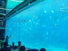 -瑞德姆美人鱼海底演艺主题餐厅(亚龙湾店)