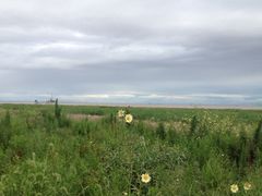 iphone_upload_pic-南汇嘴观海公园