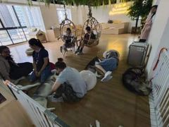 -Husky Go! 哈士奇体验馆·宠物咖啡厅狗咖