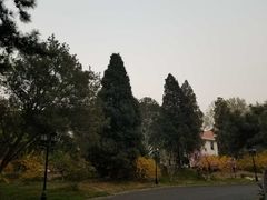 -钓鱼台国宾馆