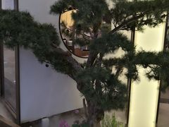 -望湘园·洞庭渔宴(永旺店)