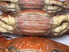 -初色海鲜自助(万丰路店)
