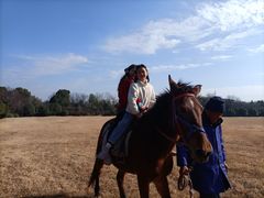 -合肥三国新城遗址公园