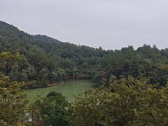 -广州白江湖森林公园