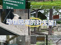 -北京动物园