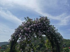 -龙寺生态园