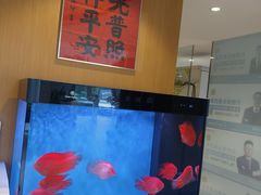 -上海和裕一汽丰田4S店(七宝店)