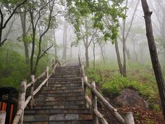 -野三坡百草畔景区