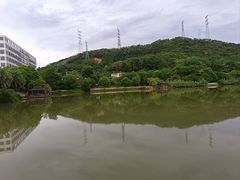 -梧桐庄园