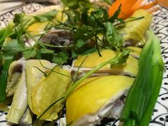 -Hoang Yen Vietnamese Cuisine