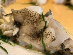 黄皮老虎斑-金苑海鲜酒家(来魅力店)