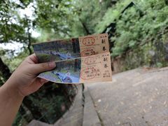 -东湖生态旅游风景区