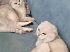 -悠米私人影院(街道口店)