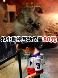 -酷嗒动物文化乐园(cutezoo西溪乐天城店)