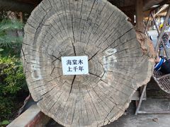 -西双版纳傣族园