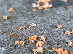 -阿育王寺