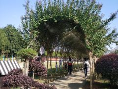 -武汉紫薇都市田园