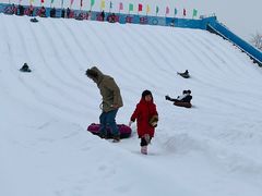 -绿野森林乐园冰雪季