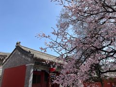 -五台山风景区