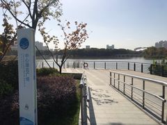 -昆山城市生态森林公园