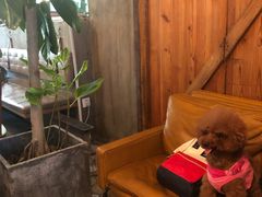 -the rug 飞毯 (朝阳公园店)