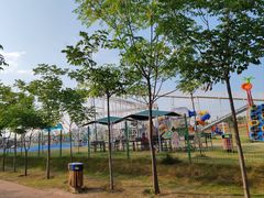 -卤阳湖国家湿地公园