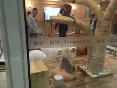 -袖虎·猫馆(体育西路店)