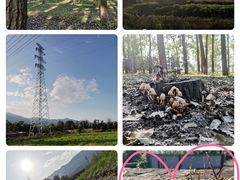 -北京鹫峰国家森林公园