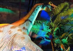 -恐龙探索乐园(磁器口店)