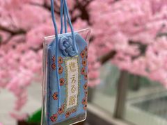 -金茂览秀城