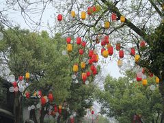 -西溪国家湿地公园