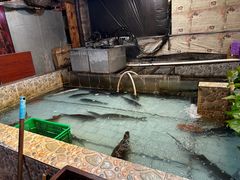 -鱼窝棚柴火铁锅炖(富山屯店)