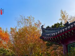 -长春市南湖公园