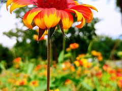 -阳台山自然风景区