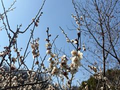 -白马涧龙池景区