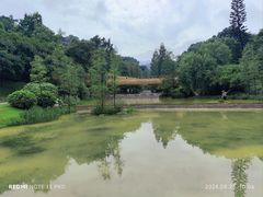 -云溪植物园