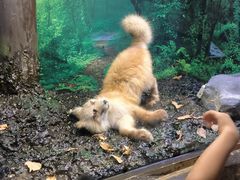 -天津自然博物馆