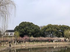 -石湖景区