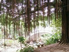 -小洲村