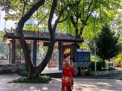 -荔湾湖公园